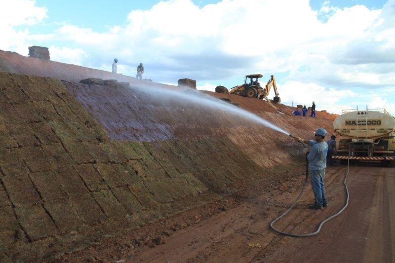 Empresa de reflorestamento em campinas